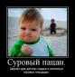 Аватар для Шип