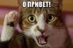 Аватар для sdif